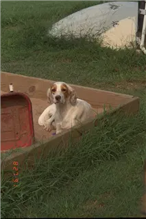 small_9400 0662 cew family etcIMG0073.webp